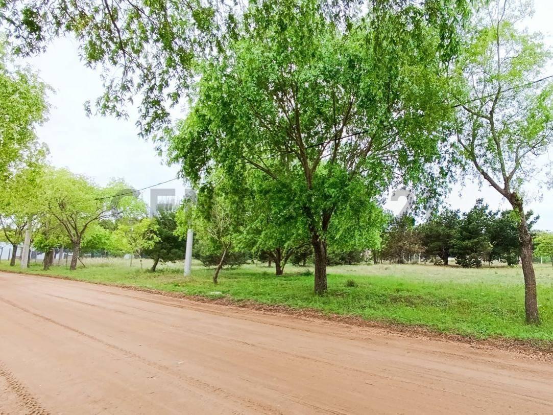 Foto de Lote en Venta Barrio Nuevo San Rafael - Mar de Ajo, imagen 1