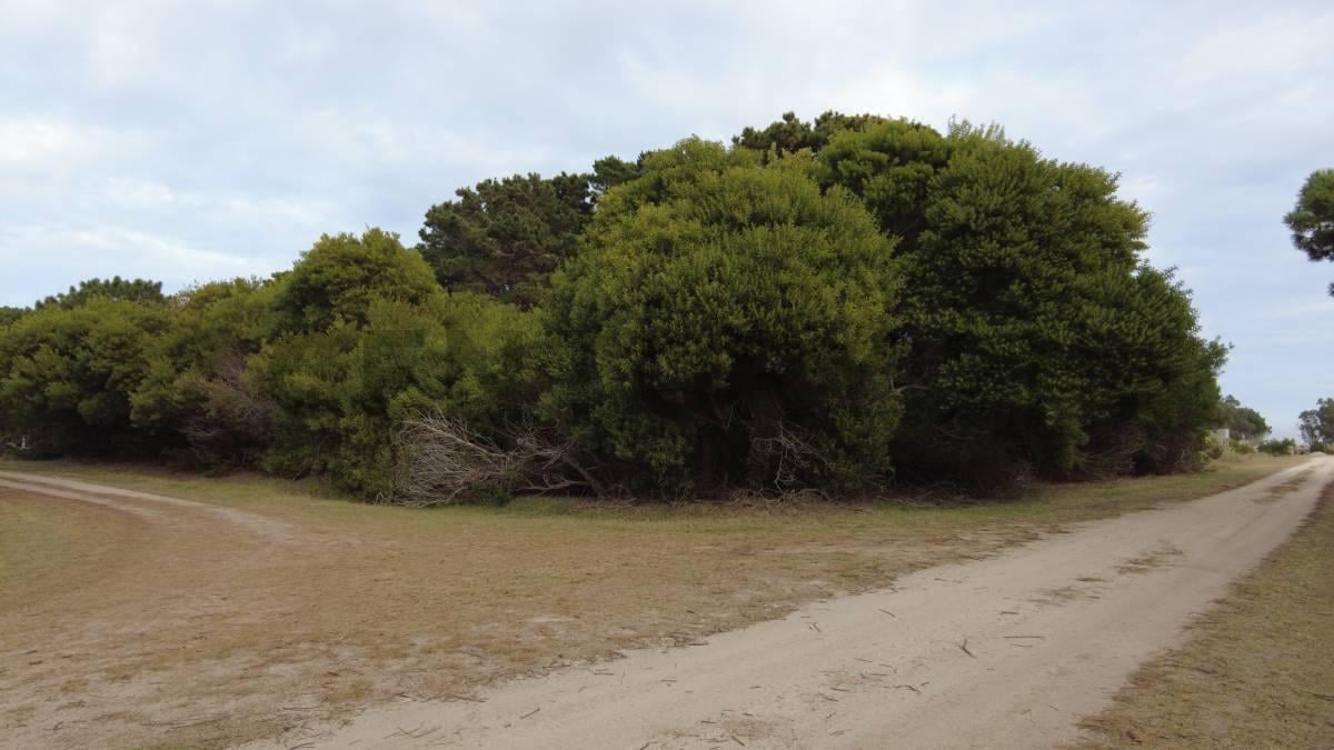 Foto de Lote en venta en Punta Médanos Barrio Marítimo, imagen 1