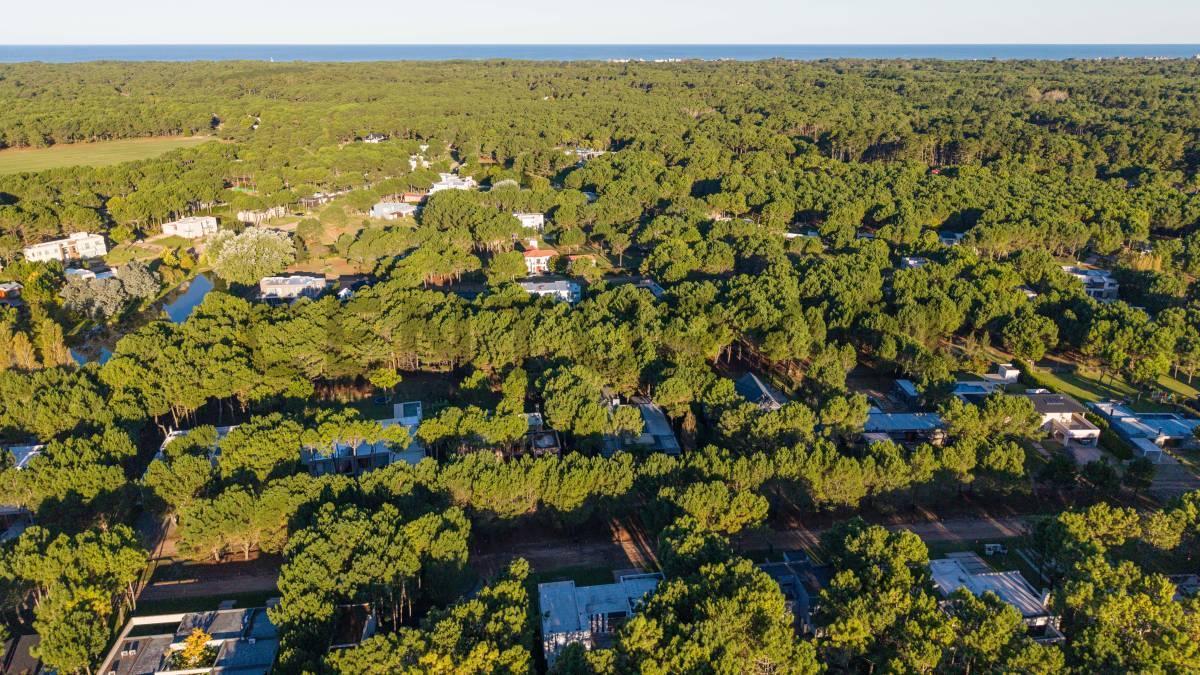 Foto de VENTA EXCLUSIVA CASA 6 AMBIENTES BARRIO LA HERRADURA PINAMAR, imagen 2