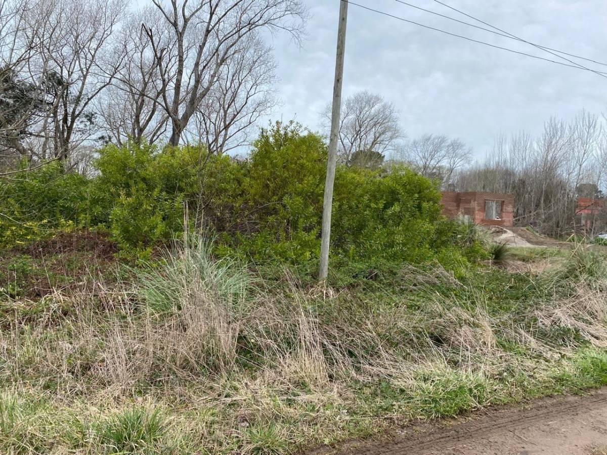 Foto de VENTA DE LOTE EN COSTA DEL ESTE, imagen 4