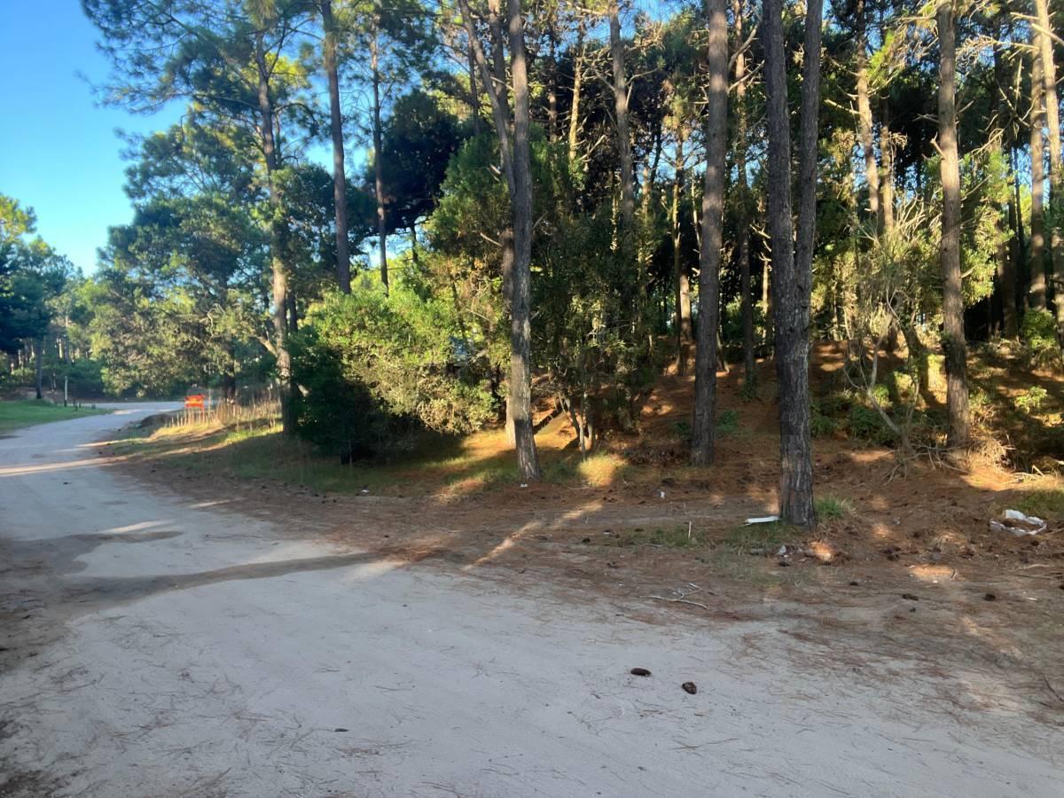 Foto de Terreno en Venta en Pinamar Barrio Aromos I Lote 27, imagen 2