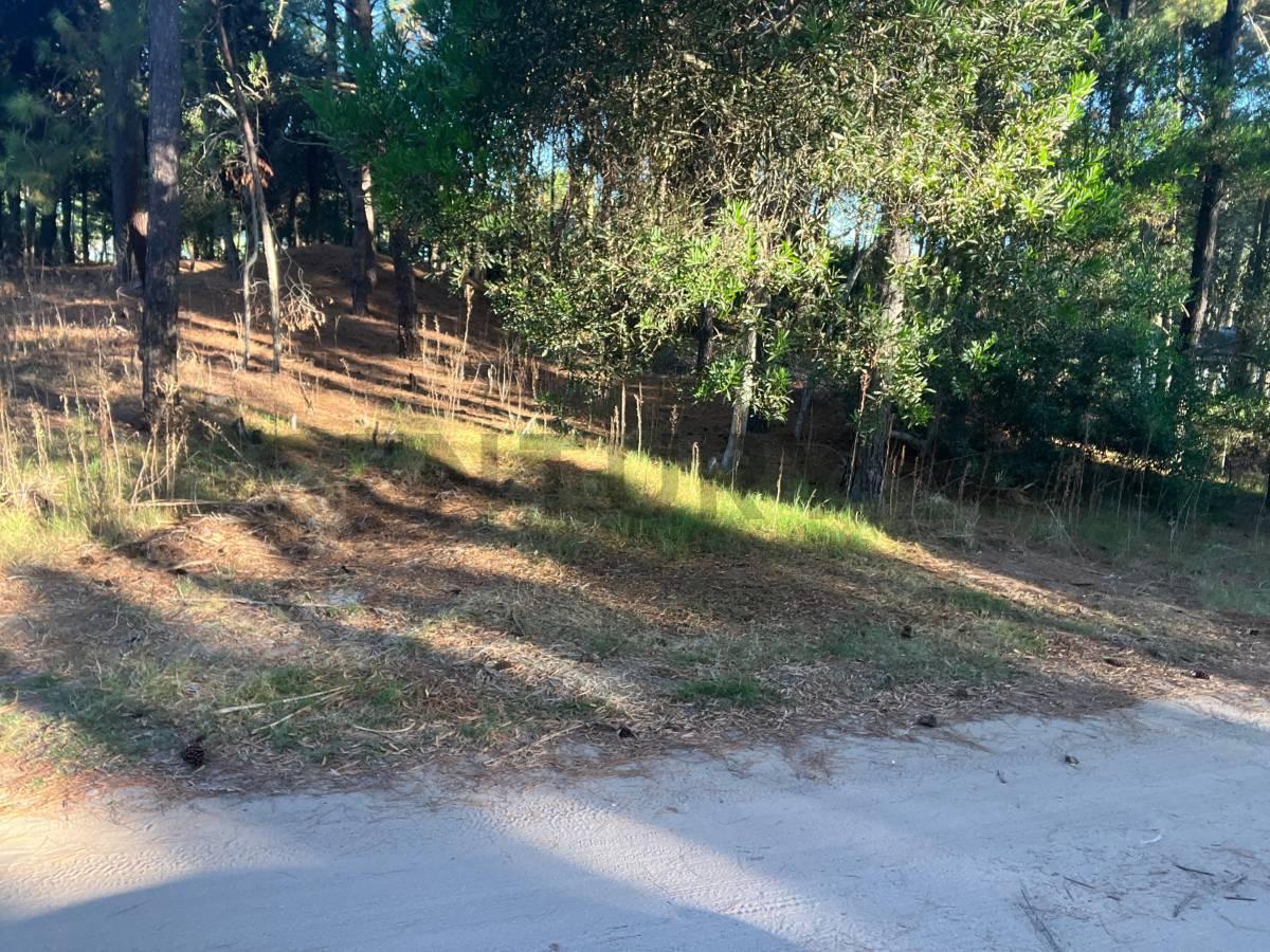 Foto de Terreno en Venta en Pinamar Barrio Aromos I Lote 27, imagen 3