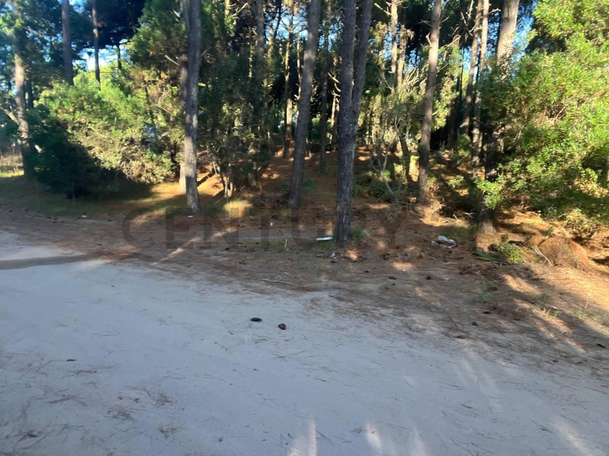 Foto de Terreno en Venta en Pinamar Barrio Aromos I Lote 27, imagen 1
