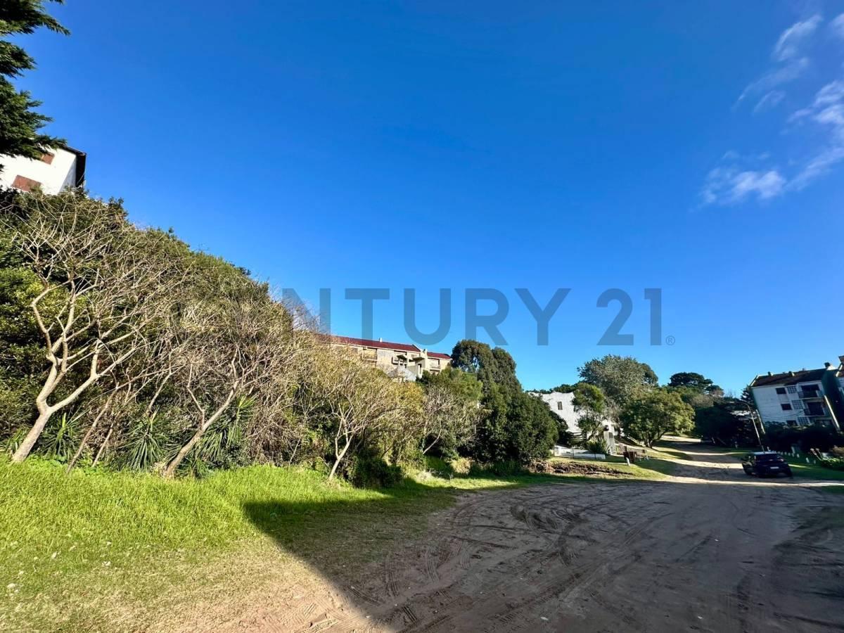 Foto de Lotes multifamiliares en venta Pinamar, imagen 4