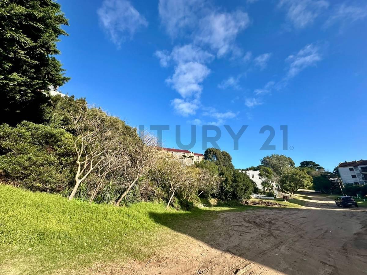 Foto de Lotes multifamiliares en venta Pinamar, imagen 5