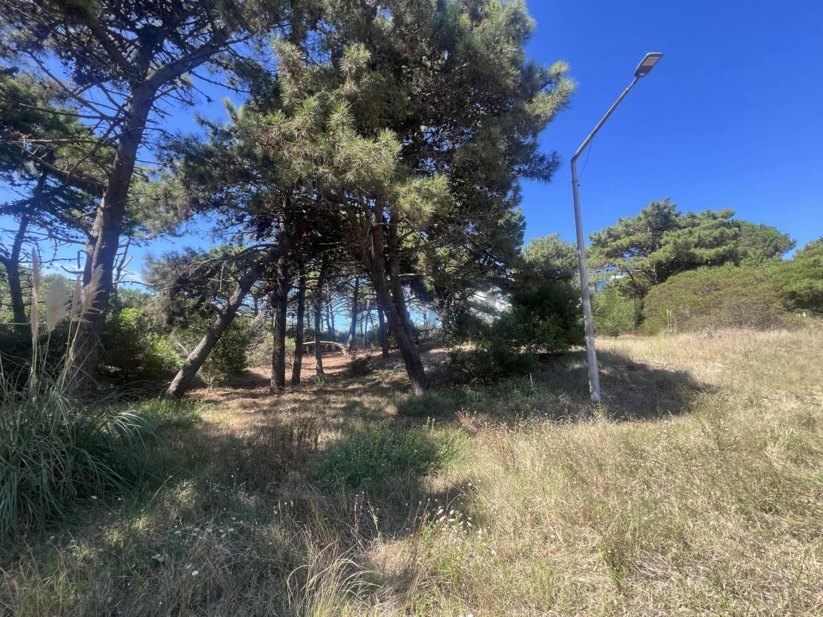 Foto de Lote multifamiliar comercial en VENTA en Villa Gesell a metros del mar, imagen 3