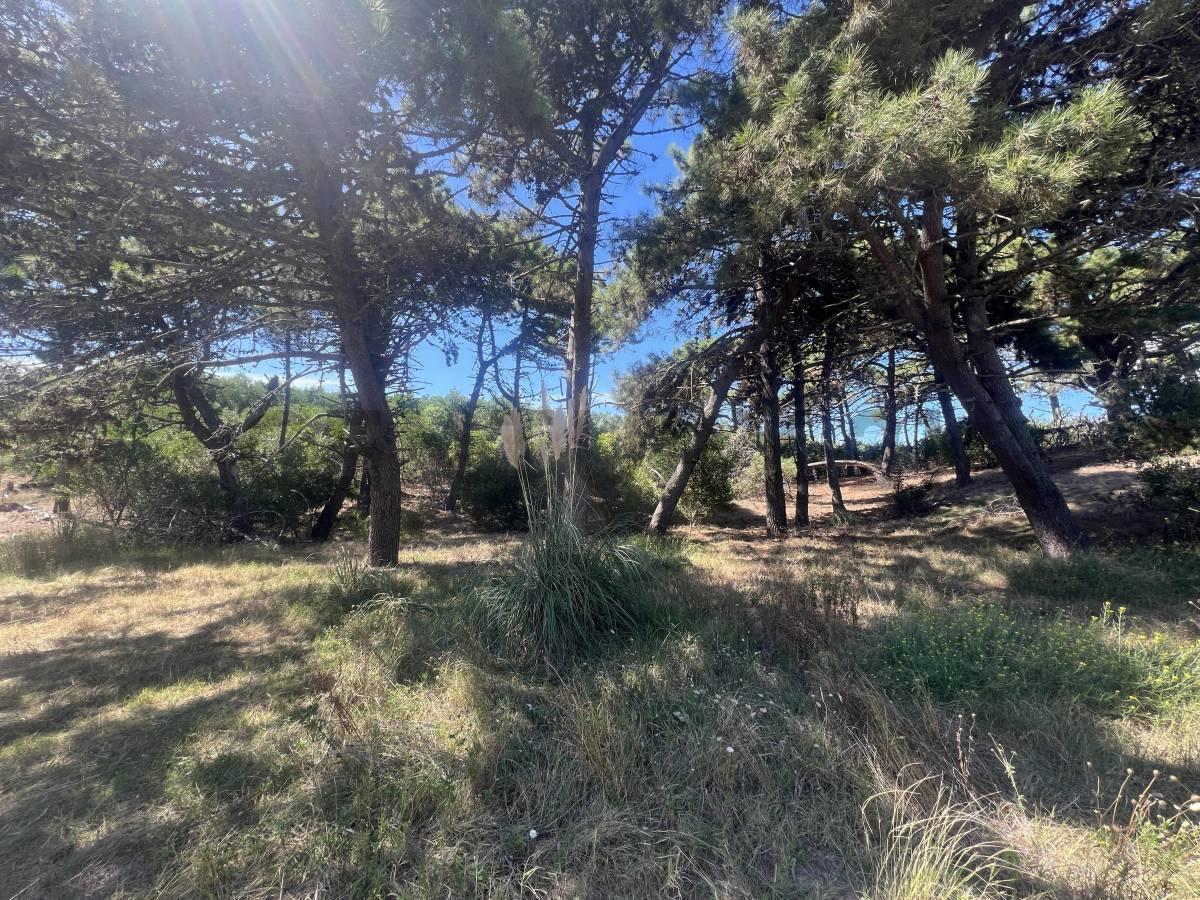 Foto de Lote multifamiliar comercial en VENTA en Villa Gesell a metros del mar, imagen 5
