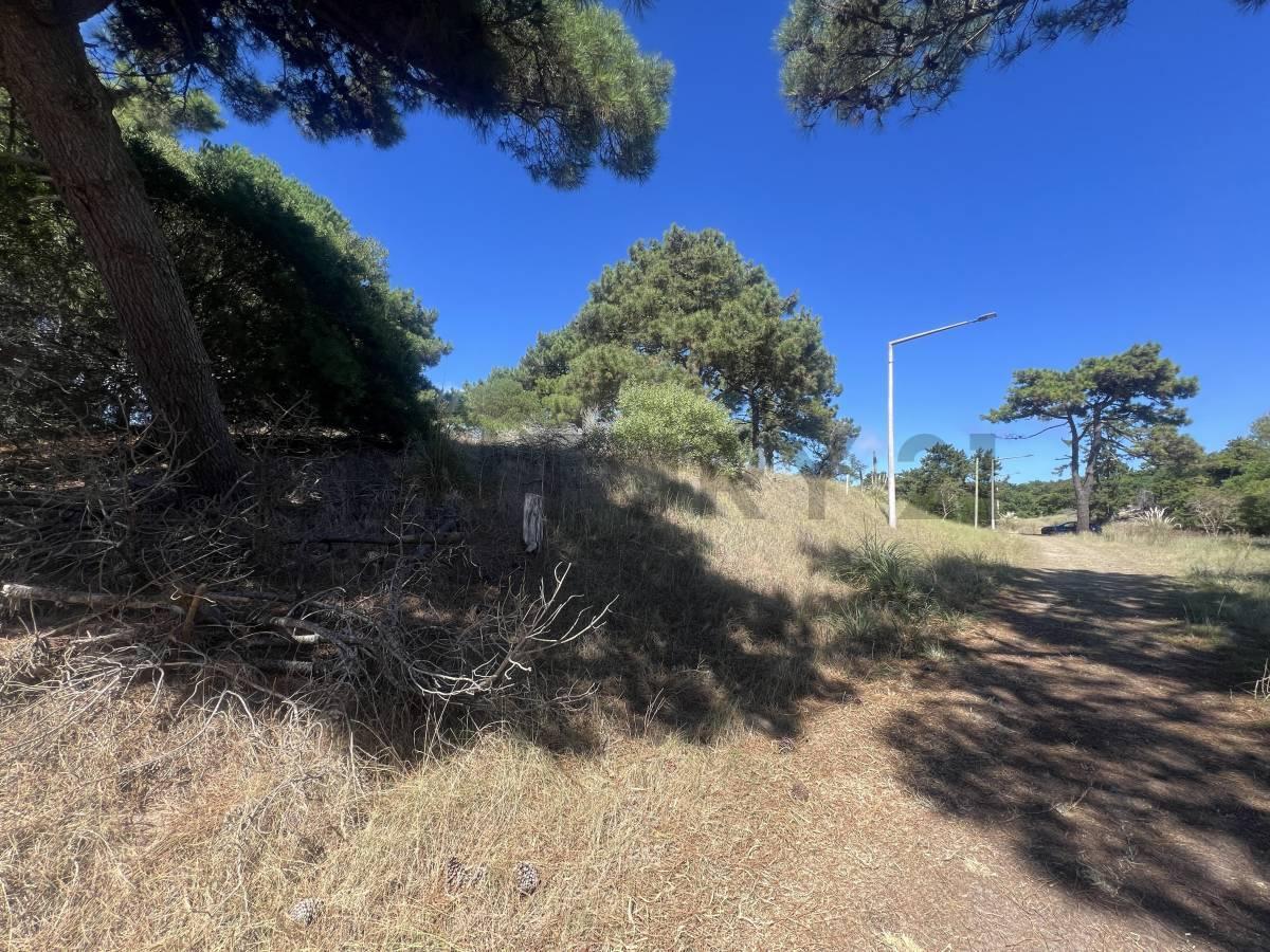 Foto de Lote multifamiliar comercial en VENTA en Villa Gesell a metros del mar, imagen 4