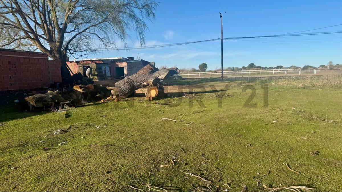 Foto de Lote escriturado límite Mar de Ajó y Nueva Atlantis, imagen 2