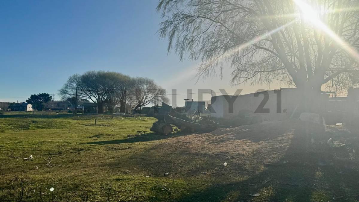 Foto de Lote escriturado límite Mar de Ajó y Nueva Atlantis, imagen 3