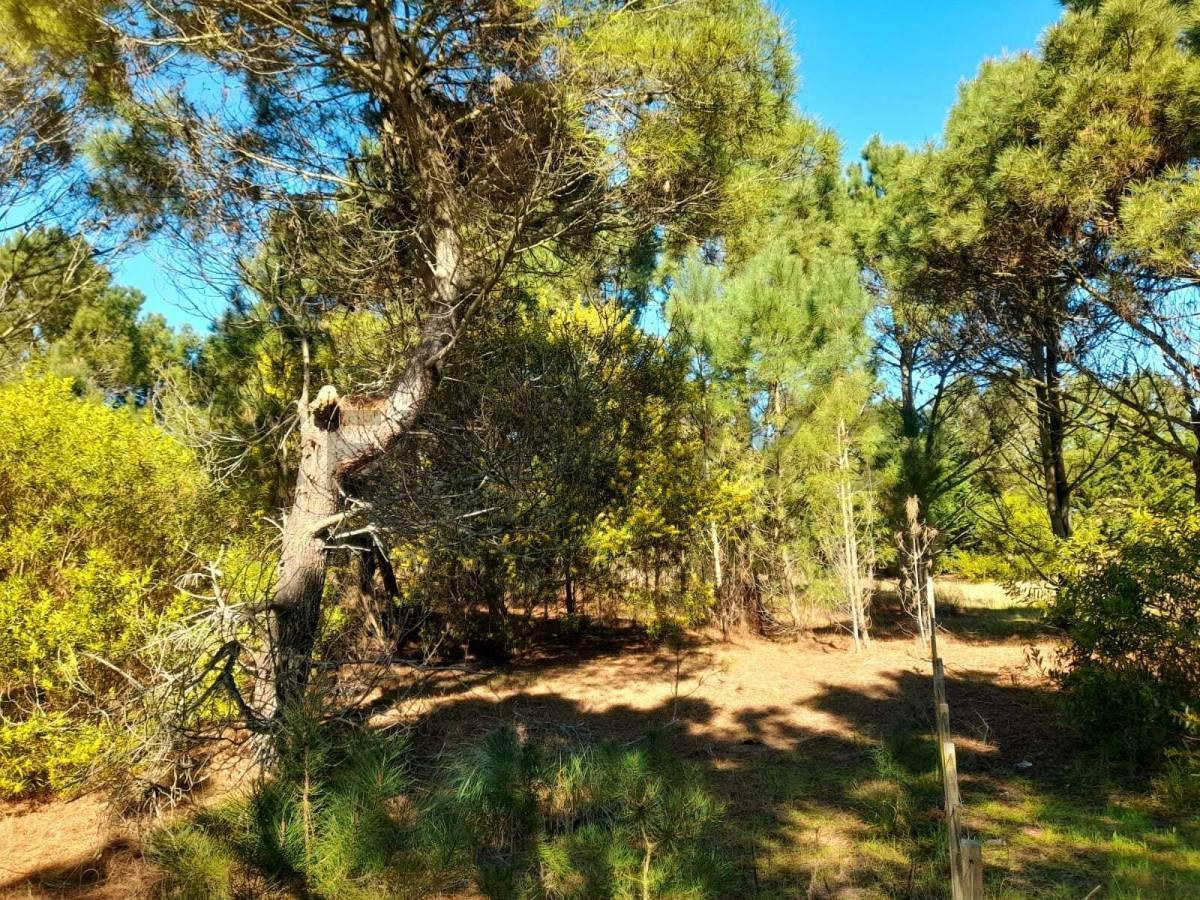Foto de VENTA LOTE LAS GAVIOTAS FRENTE A MAR DE LAS PAMPAS COSTA ATLANTICA, imagen 1