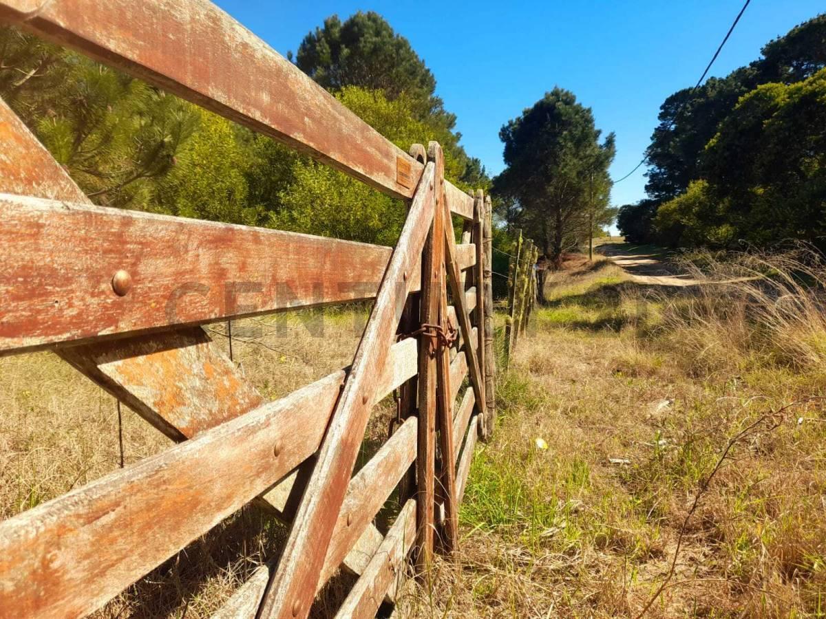 Foto de VENTA LOTE LAS GAVIOTAS FRENTE A MAR DE LAS PAMPAS COSTA ATLANTICA, imagen 2