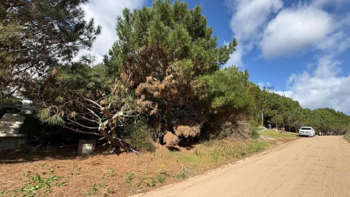 Foto de VENTA LOTE COSTA ESMERALDA BARRIO DEPORTIVA, imagen 4