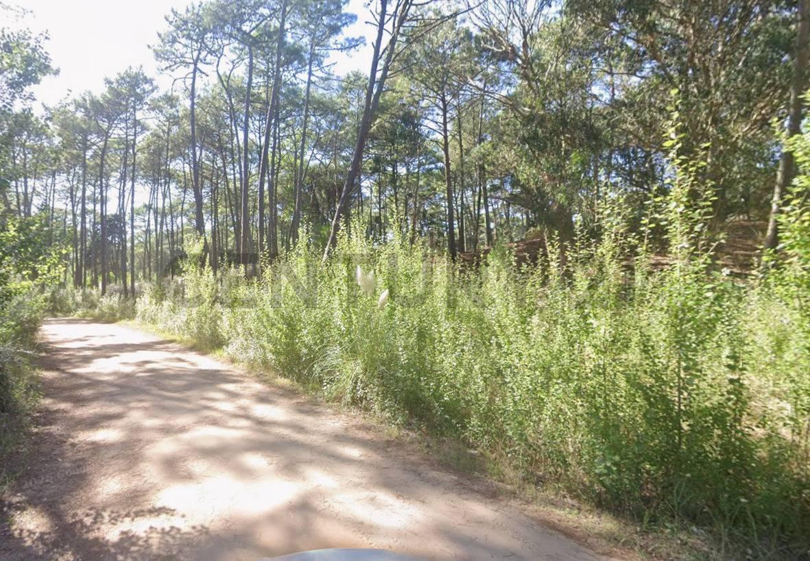 Foto de VENTA LOTE TERRENO CARILO PINAMAR OPORTUNIDAD PERMUTA FINANCIAMIENTO, imagen 3
