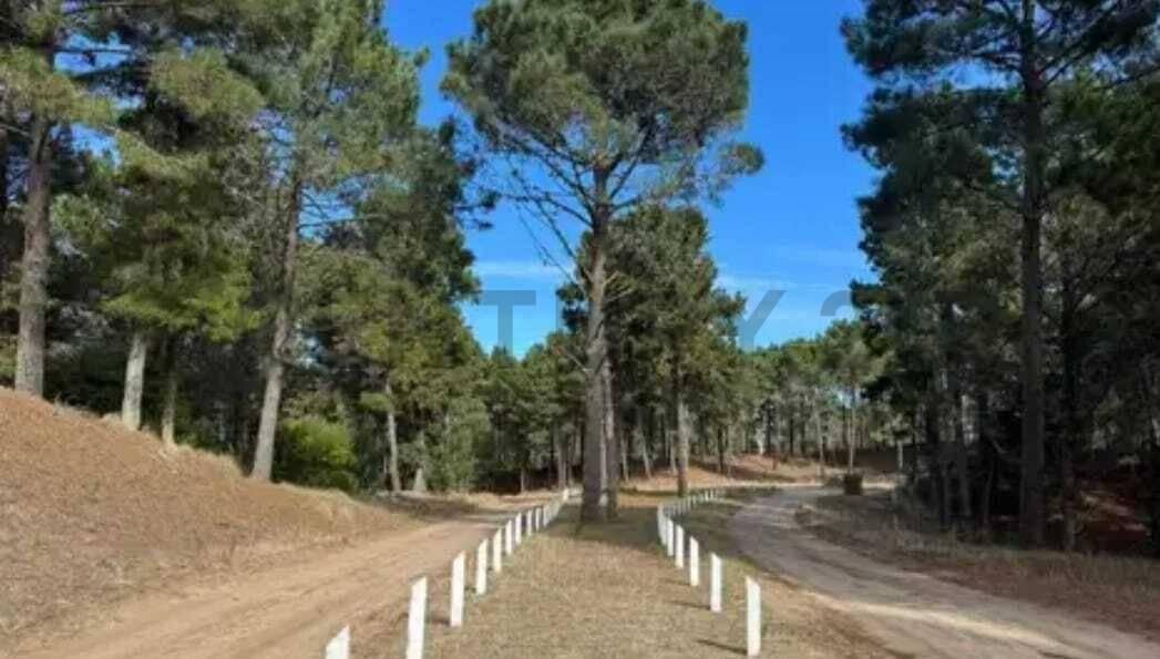 Foto de Lote en Venta en Barrio Serena zona golf de Villarobles Pinamar, imagen 2