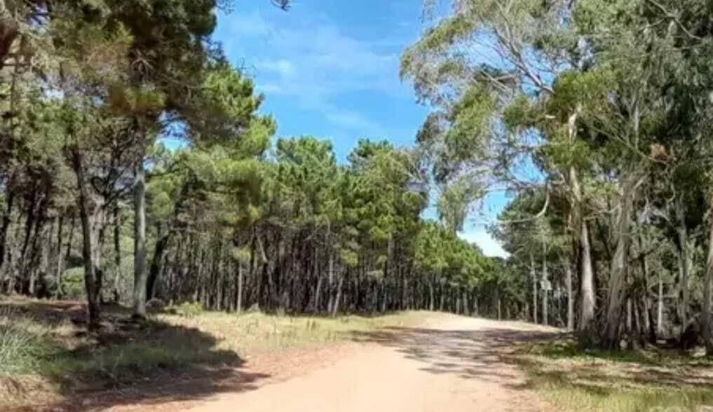 Foto de Lote en Venta en Barrio Serena zona golf de Villarobles Pinamar, imagen 3