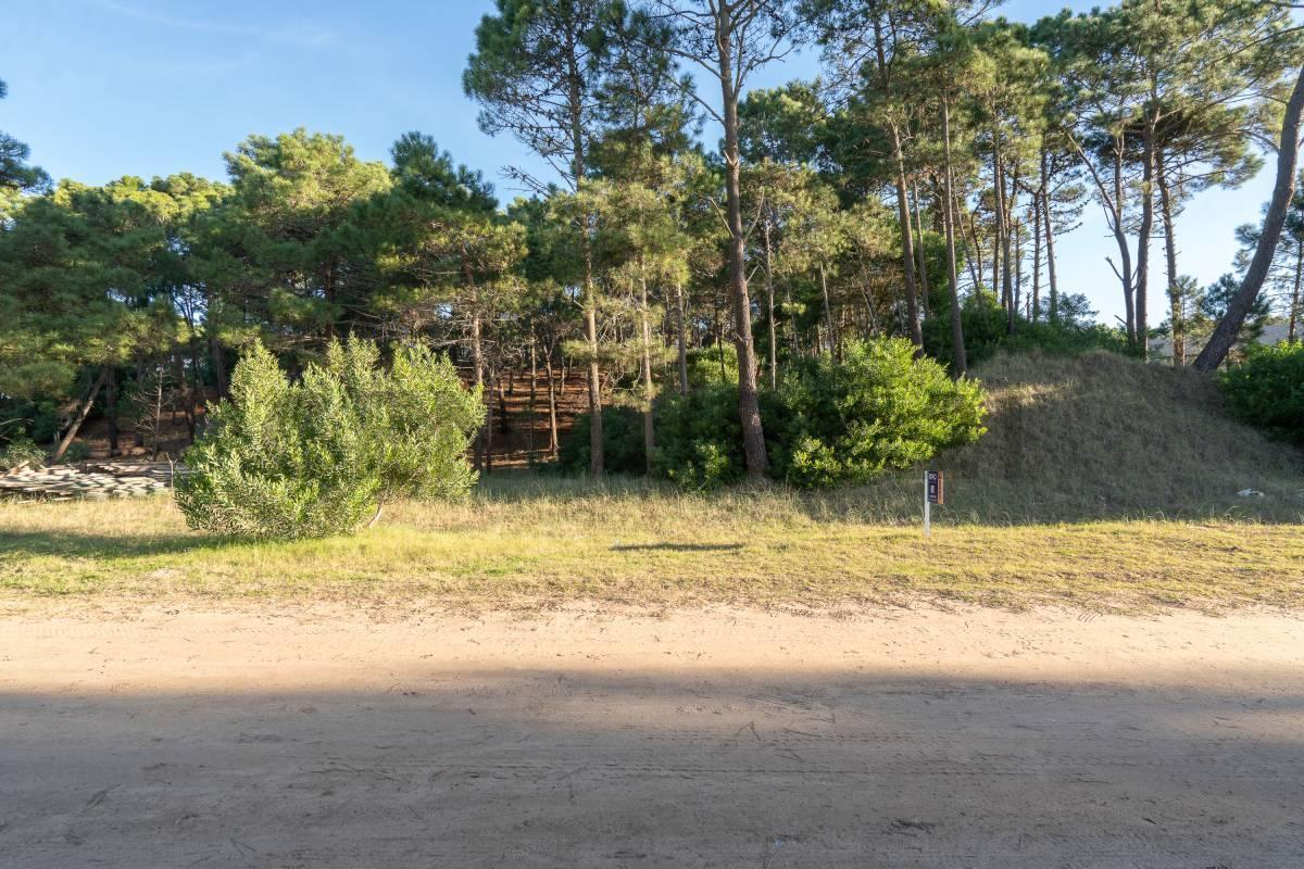 Foto de Venta lote Álamos Pinamar, imagen 1
