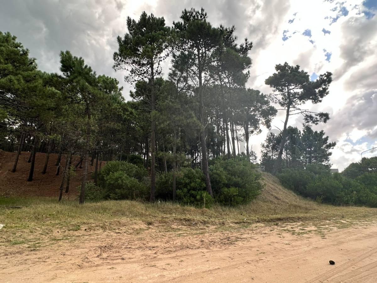 Foto de Venta lote Álamos Pinamar, imagen 4