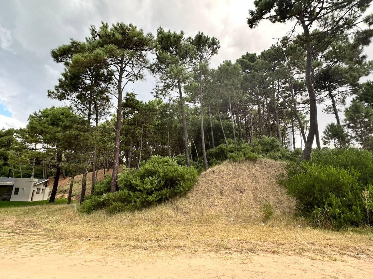 Foto de Venta lote Álamos Pinamar, imagen 5