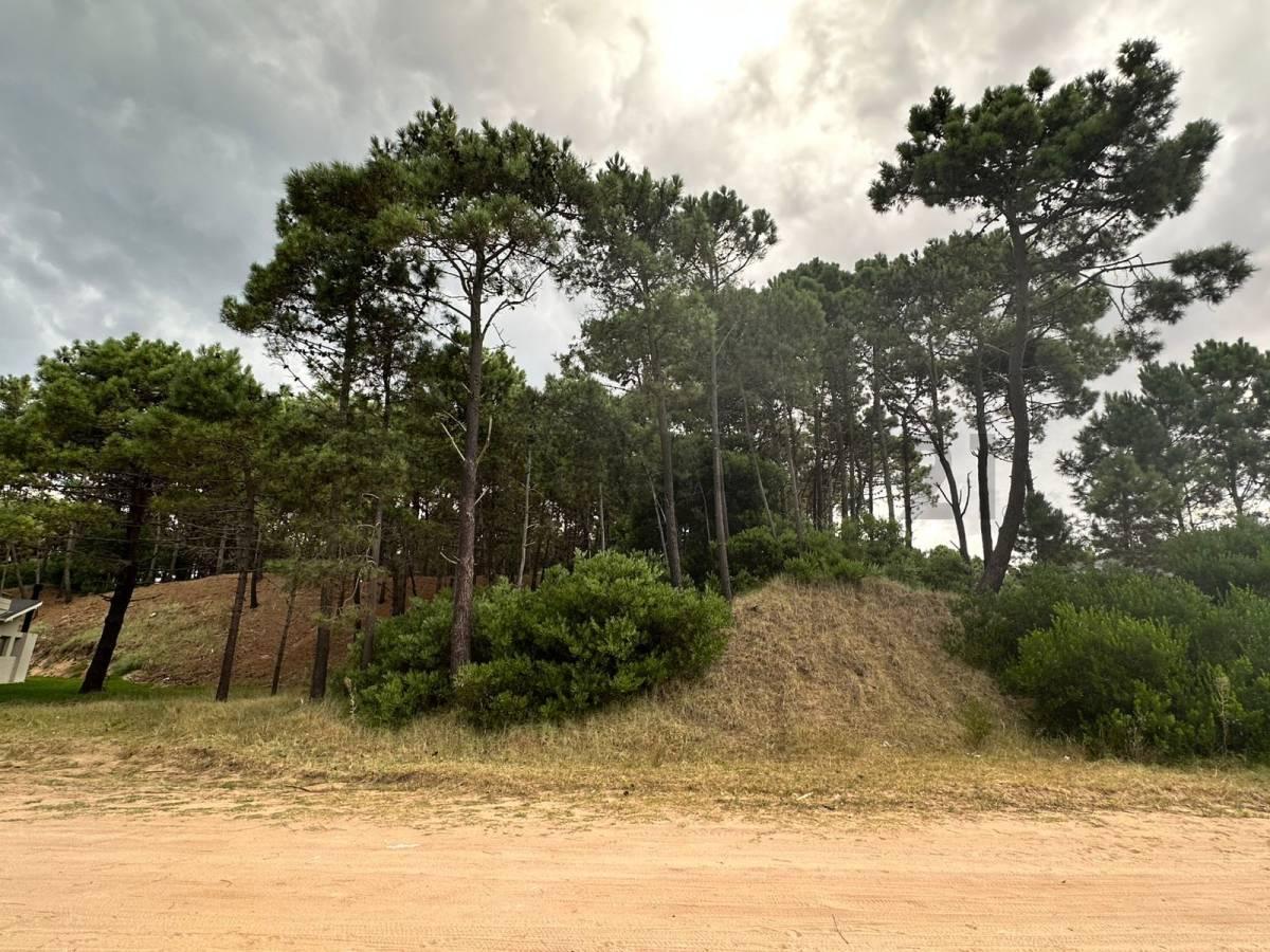 Foto de Venta lote Álamos Pinamar, imagen 3