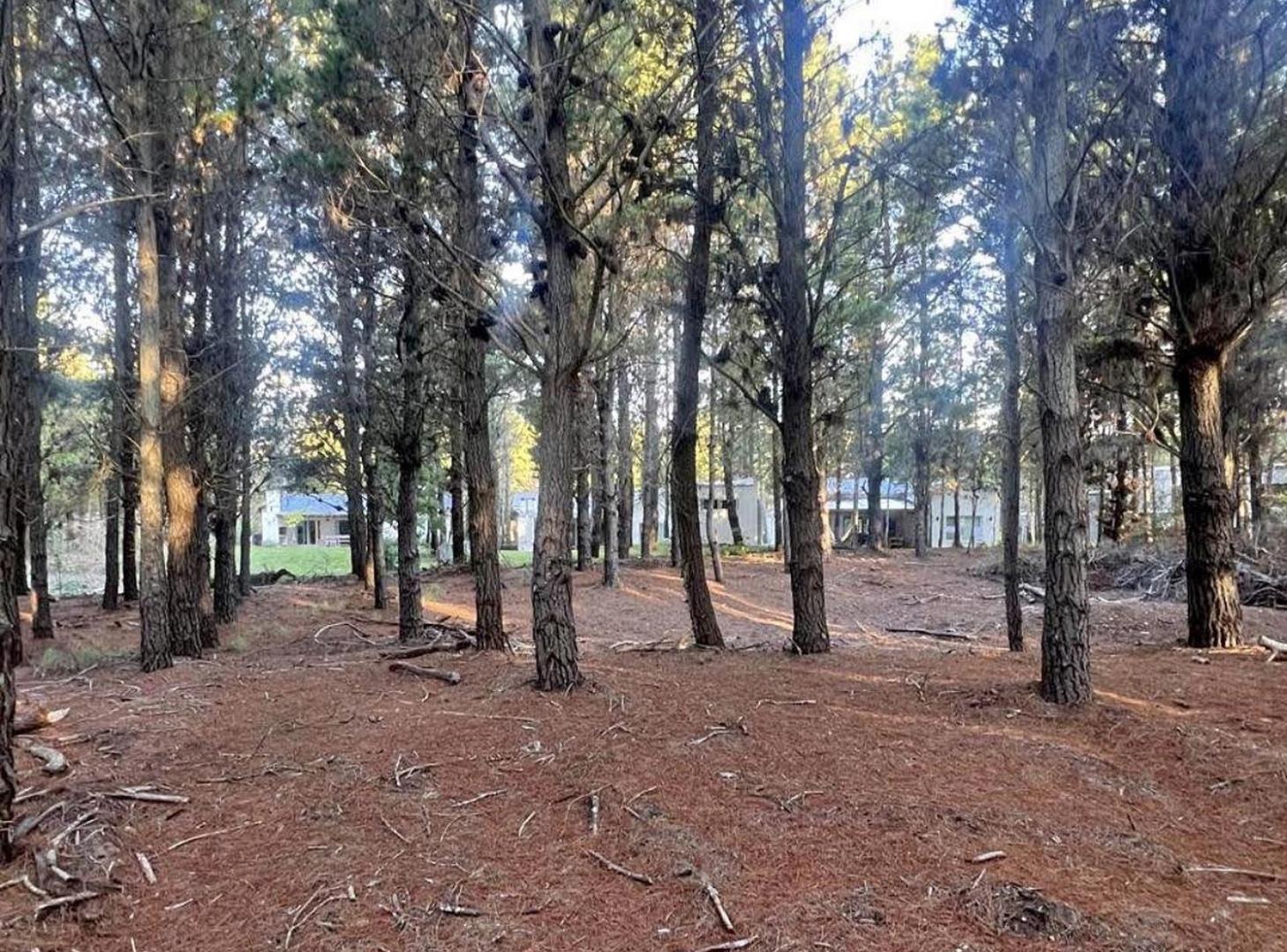 Foto de LOTE EN SENDEROS IV COSTA ESMERALDA, imagen 2