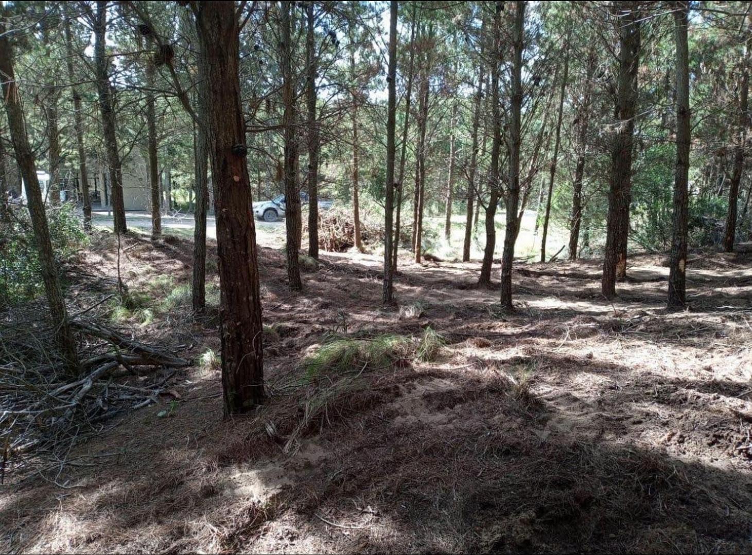 Foto de LOTE EN SENDEROS IV COSTA ESMERALDA, imagen 4