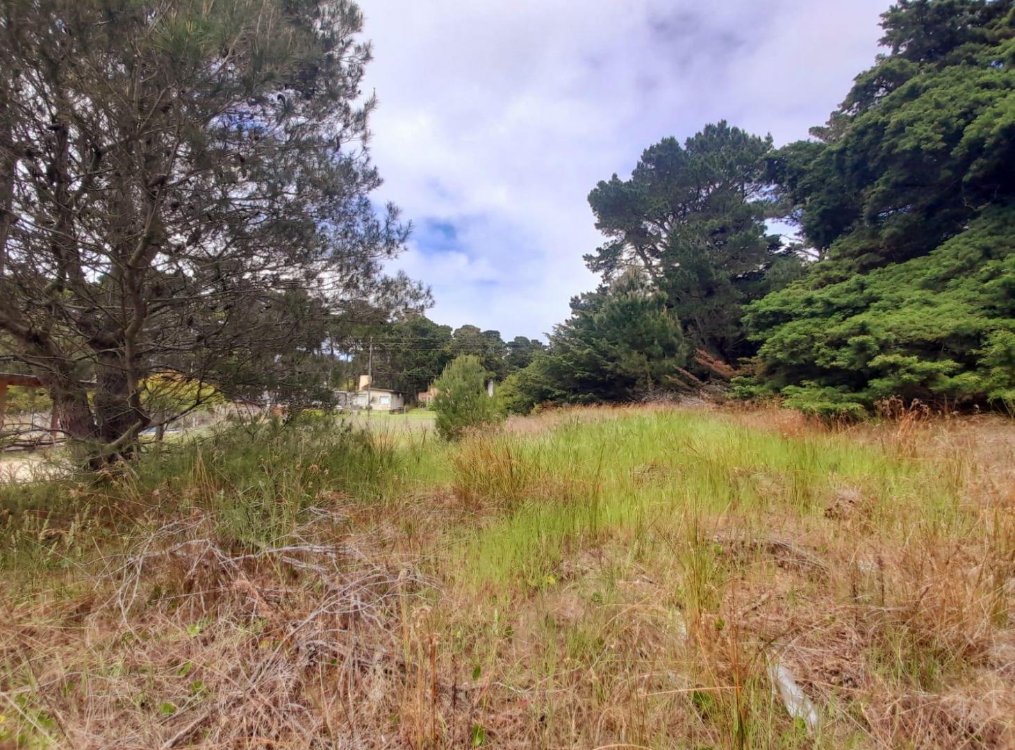 Foto de Terreno en venta en Mar Azul, imagen 1