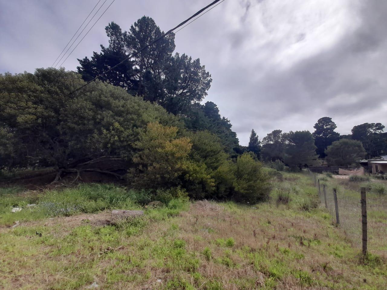 Foto de Terreno en venta en Mar Azul, imagen 2