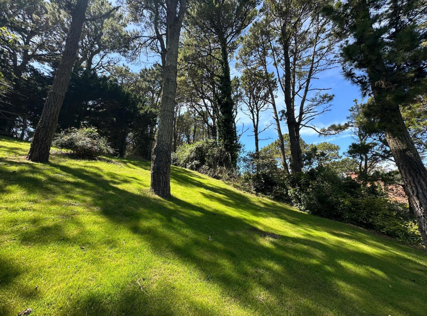 Foto de LOTE EN VENTA EN BARRIO GOLF NUEVO PINAMAR, imagen 4
