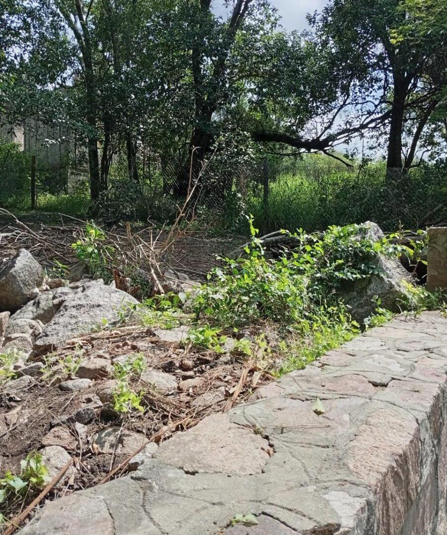 Foto de Venta de Terreno en Rio Ceballos, Camino al Cuadrado, imagen 5