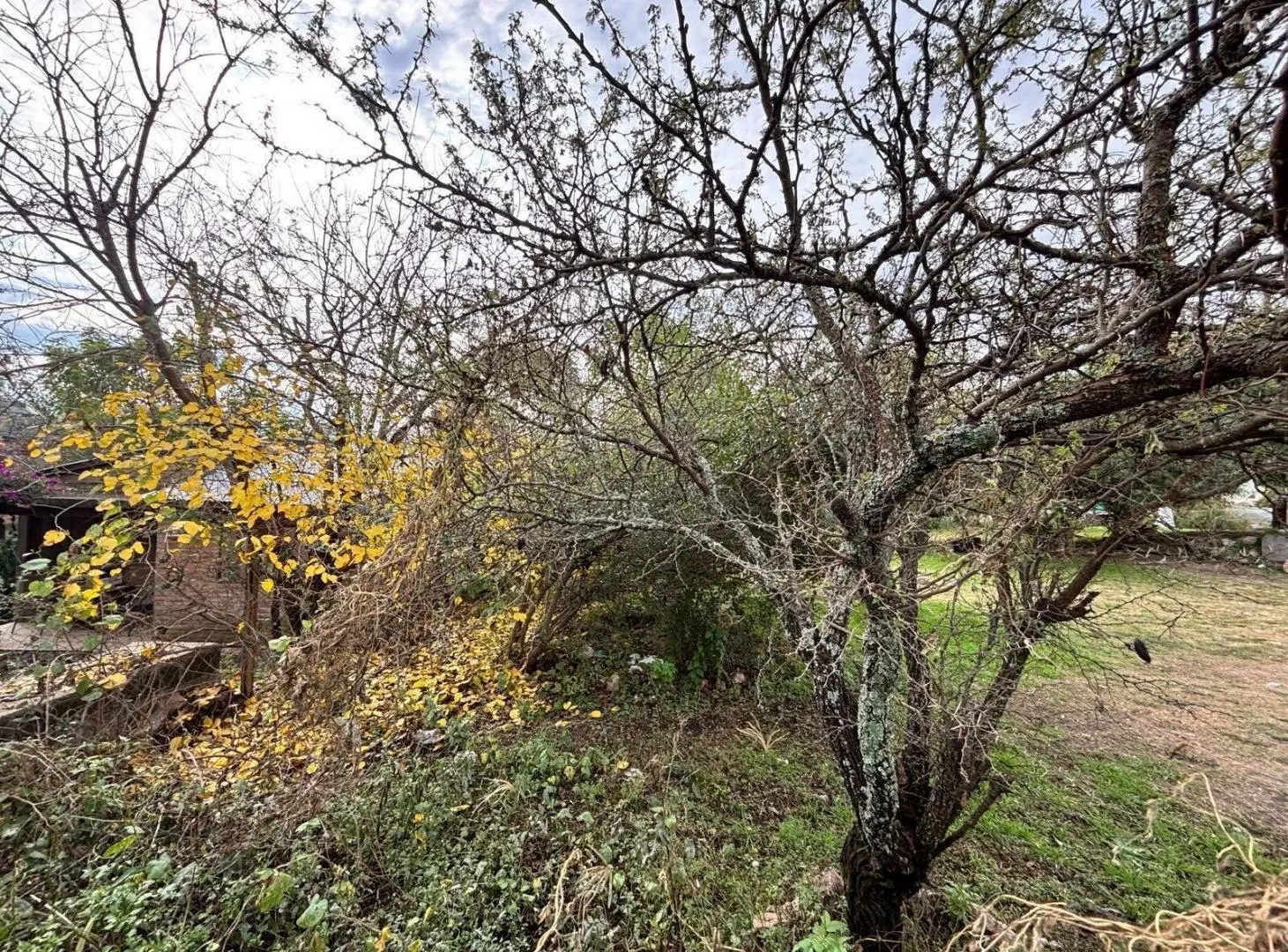 Terreno en venta en Salsipuedes , barrio Villa Sol 5