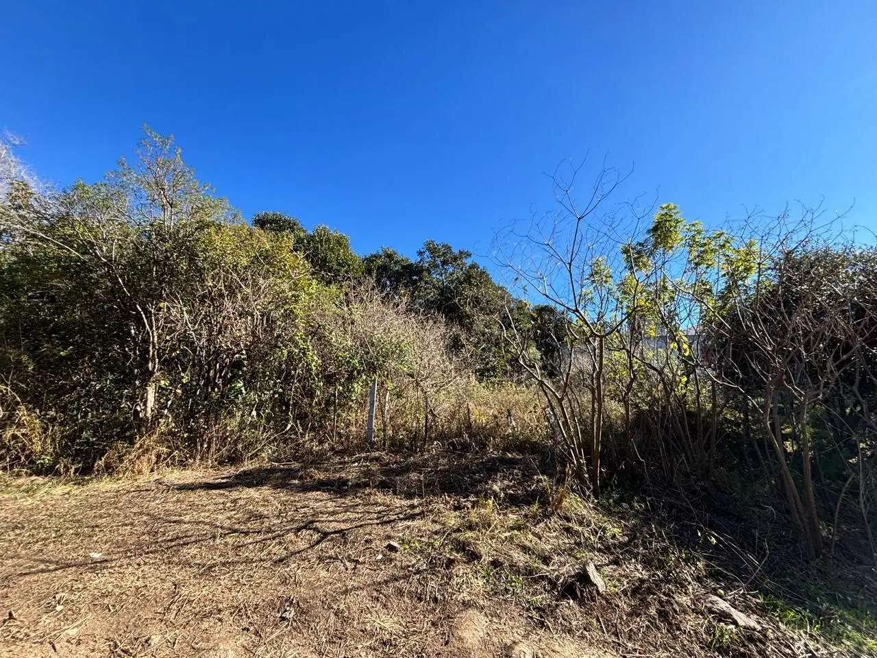 Terreno en venta en AGUA DE ORO 4