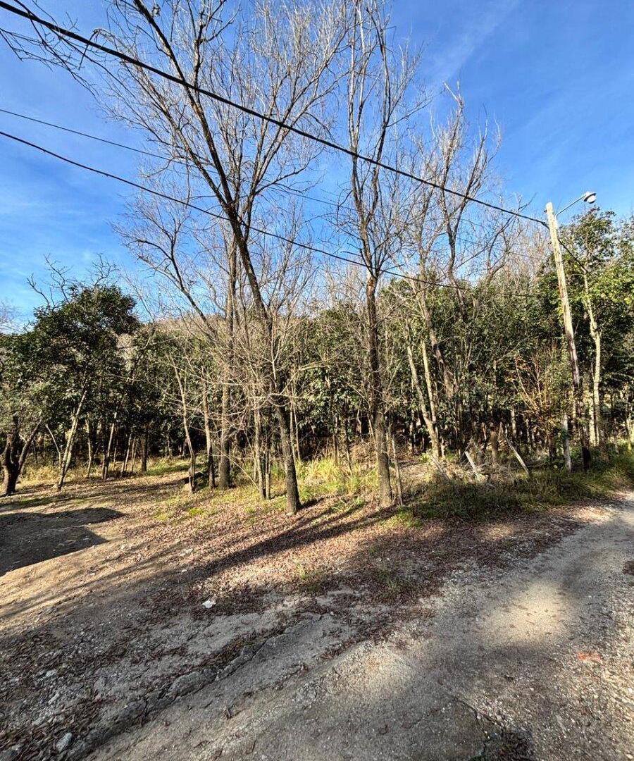 Foto de TERRENO EN VENTA EN LA SERRANITA, imagen 5