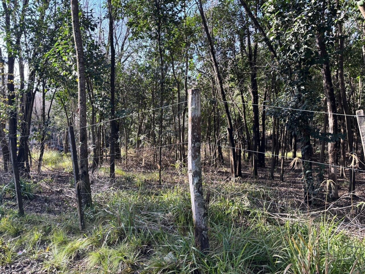 TERRENO EN VENTA EN LA SERRANITA