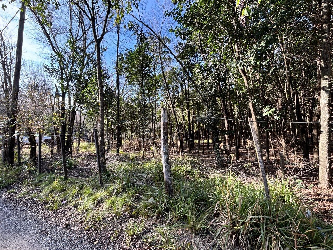 Foto de TERRENO EN VENTA EN LA SERRANITA, imagen 4