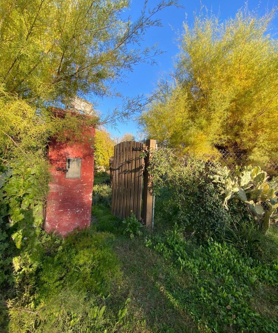 VENTA - Casa quinta en gran lote Gral. Cerri