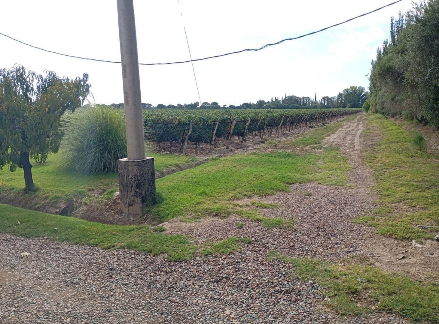 Foto de FINCA. VENTA. MEDRANO. JUNIN. 19 Ha 4.147m2, imagen 2