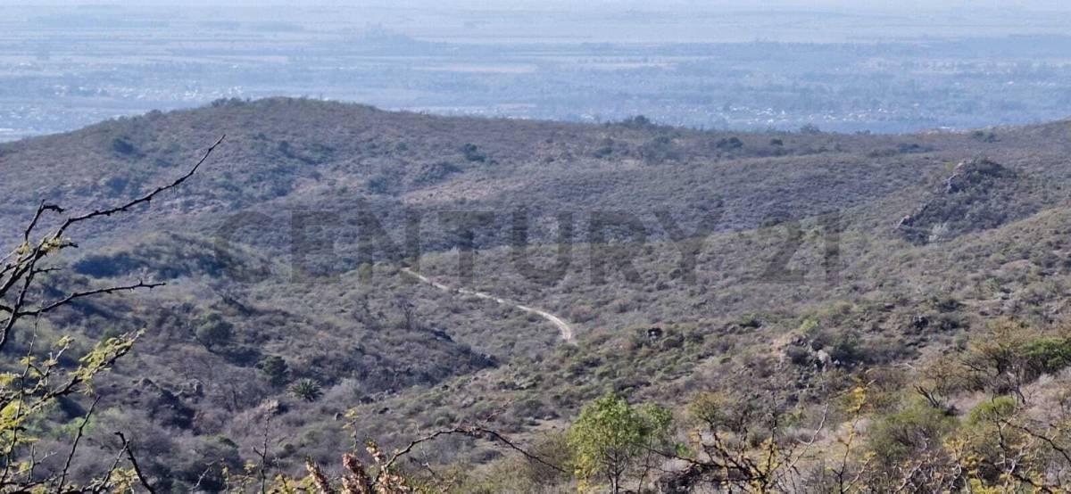 Foto de CAMPO DE 220,64 HECTAREAS en Alta Gracia - OPORTUNIDAD, imagen 3