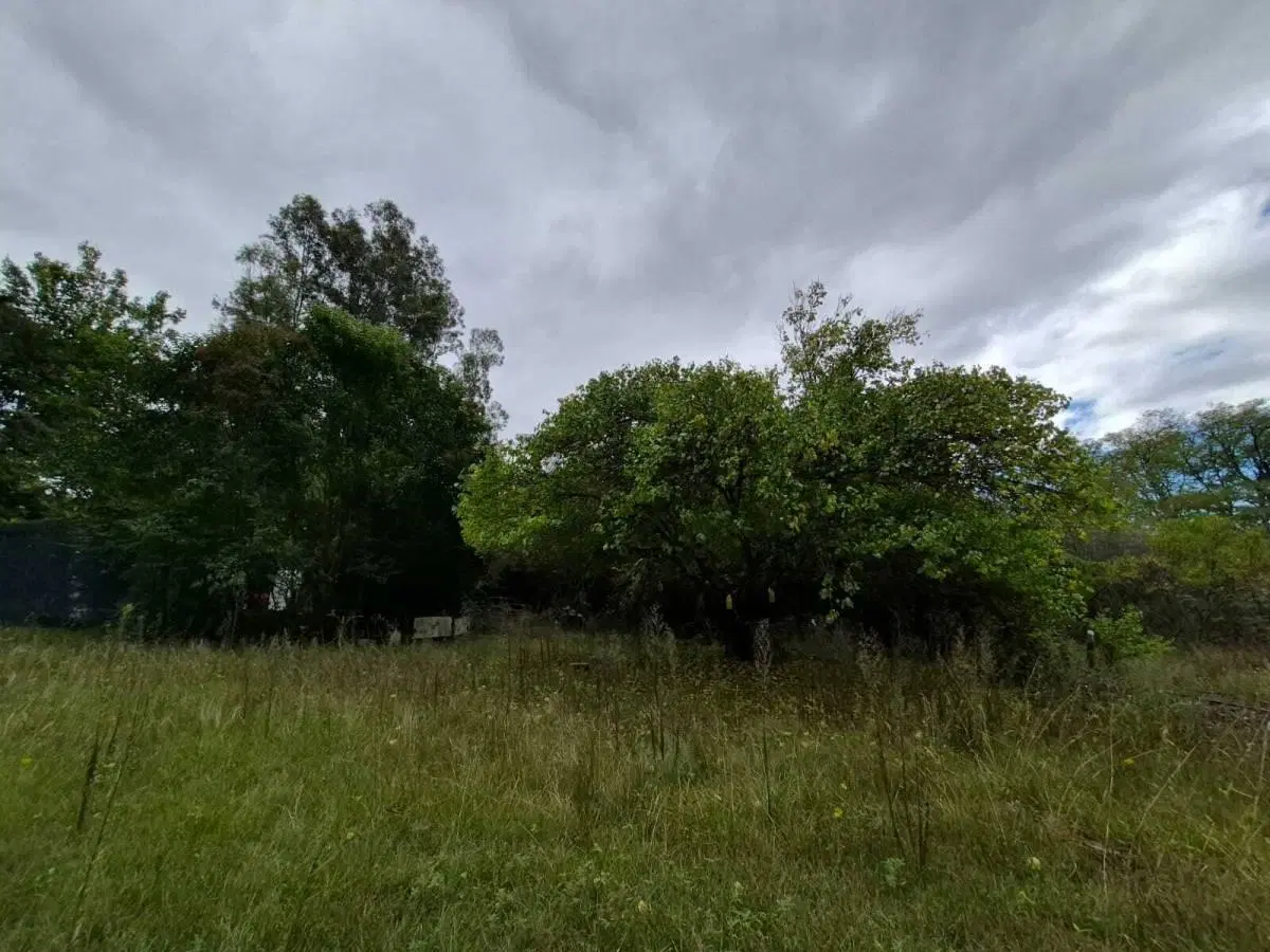 TERRENO 5000M2 EN SAN CLEMENTE - A 2 CUADRAS DE LA RUTA -  - 4
