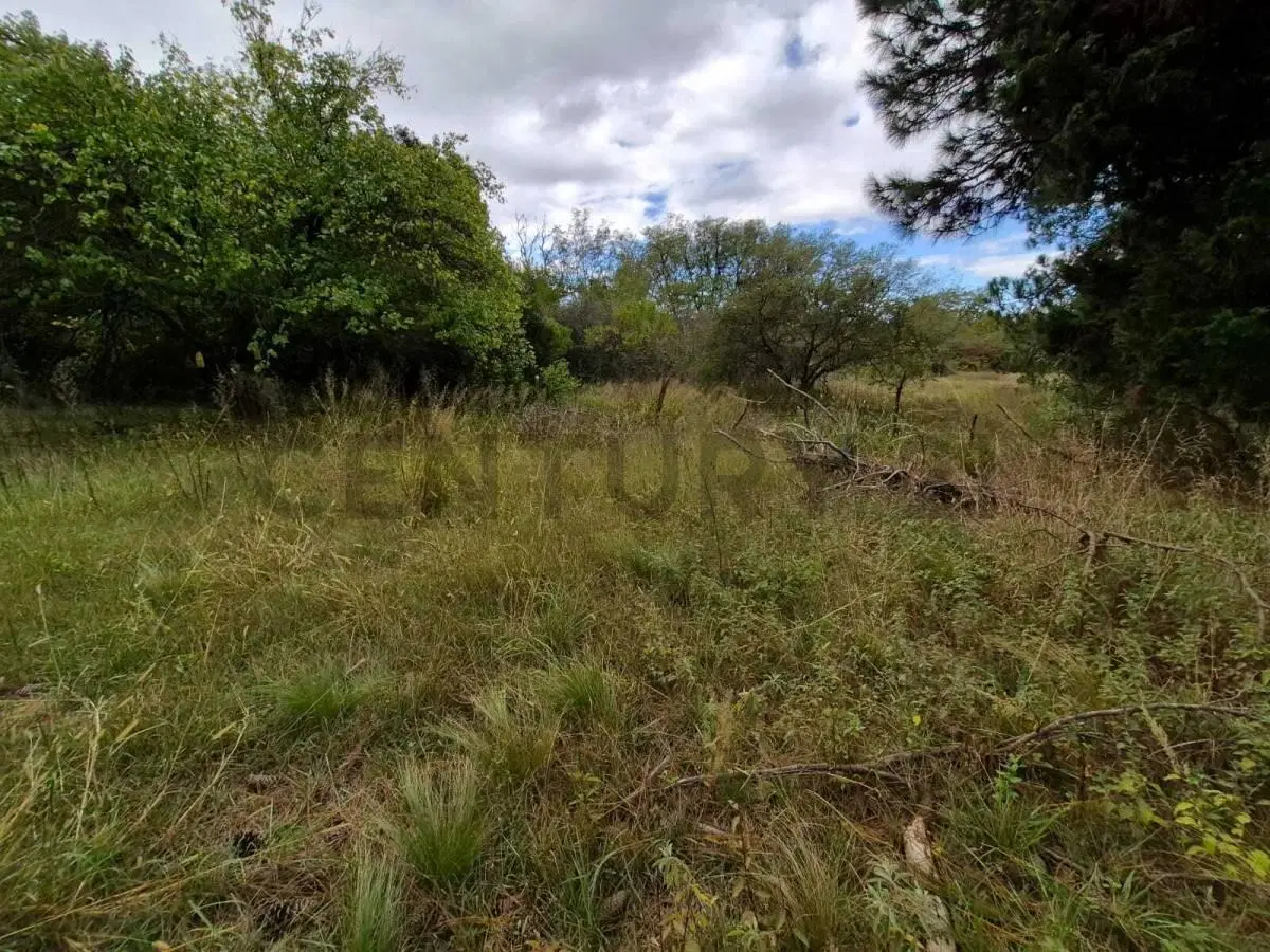 TERRENO 5000M2 EN SAN CLEMENTE - A 2 CUADRAS DE LA RUTA -  - 3