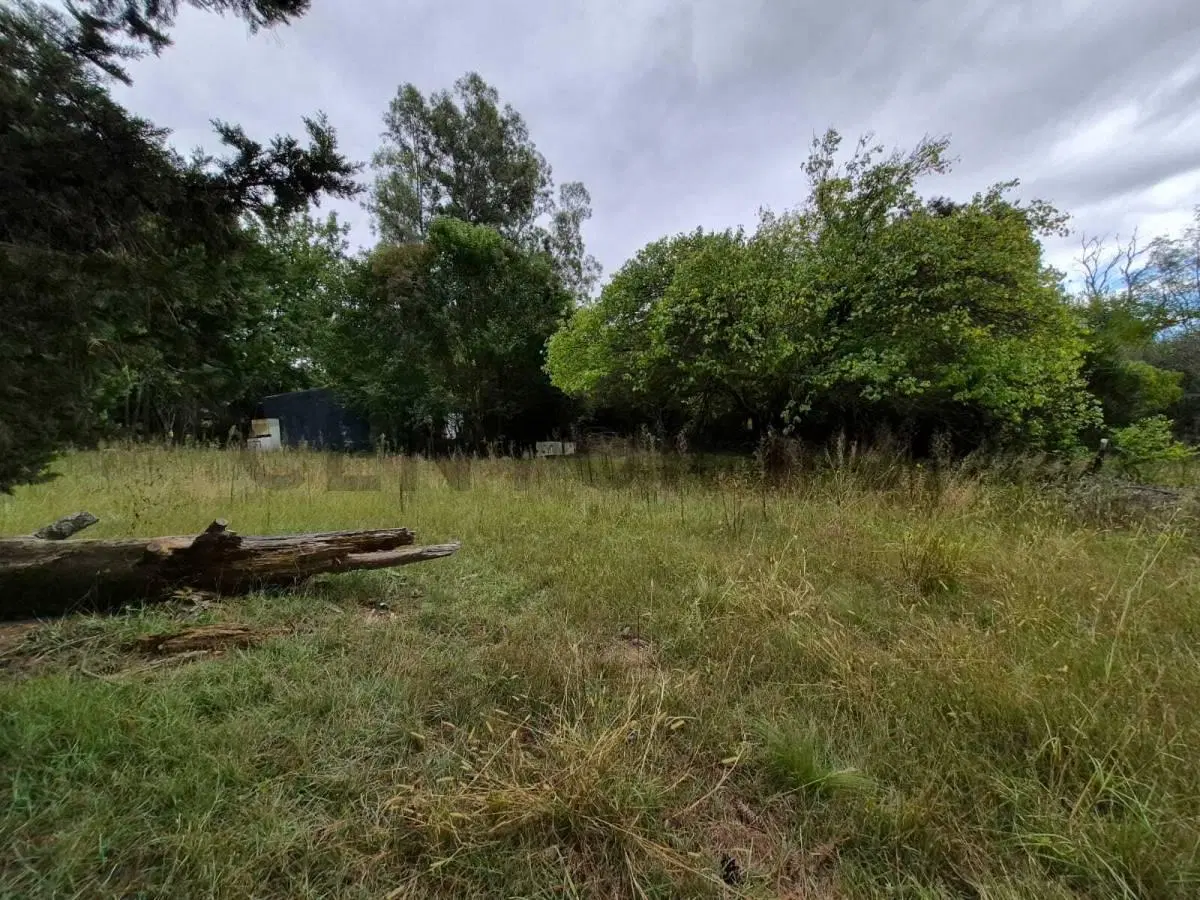 TERRENO 5000M2 EN SAN CLEMENTE - A 2 CUADRAS DE LA RUTA -  - 2