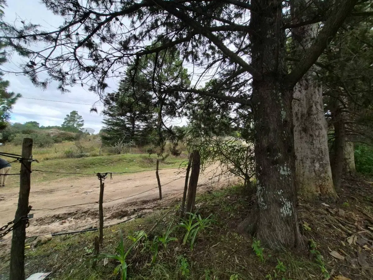 TERRENO 5000M2 EN SAN CLEMENTE - A 2 CUADRAS DE LA RUTA -  - 5