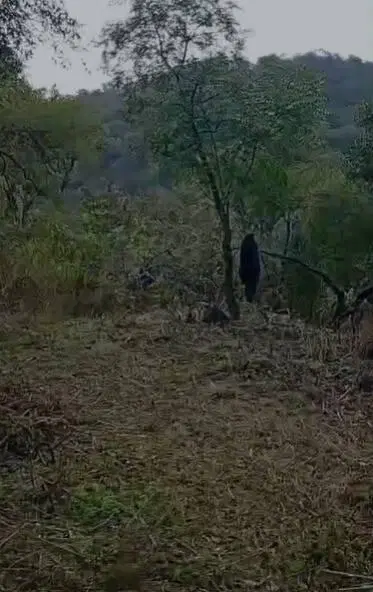 Lote 469 M2 en TERRAZAS DE RIO CEBALLOS 5