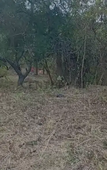 Lote 469 M2 en TERRAZAS DE RIO CEBALLOS 2