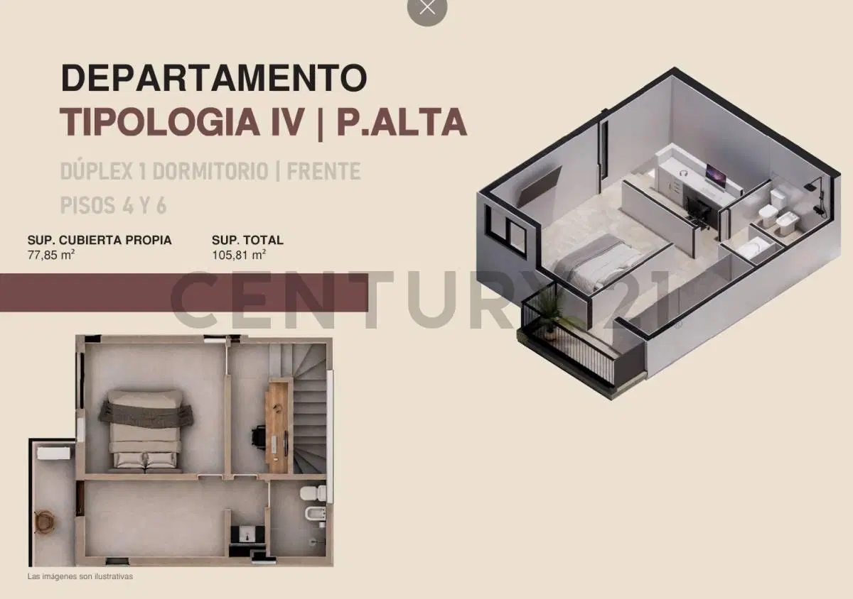 Plano 7