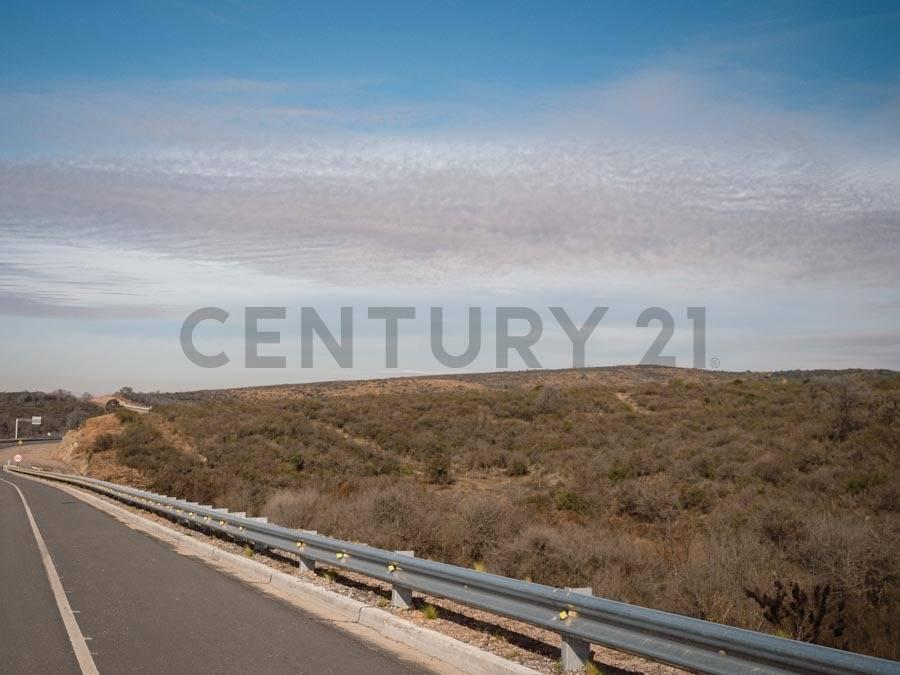 Foto de EXCLUSIVO TERRENO DE 17.696 m SOBRE AUTOVÍA PUNILLA – APTO ESTACIÓN DE SERVICIO, HOTELERÍA Y DESARRO, imagen 4