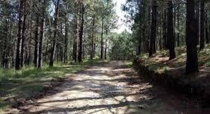 Foto de GRAN Lote de 3035 Mts Country VILLA DEL CONDOR, imagen 4