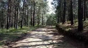 GRAN Lote de 3035 Mts Country VILLA DEL CONDOR 3