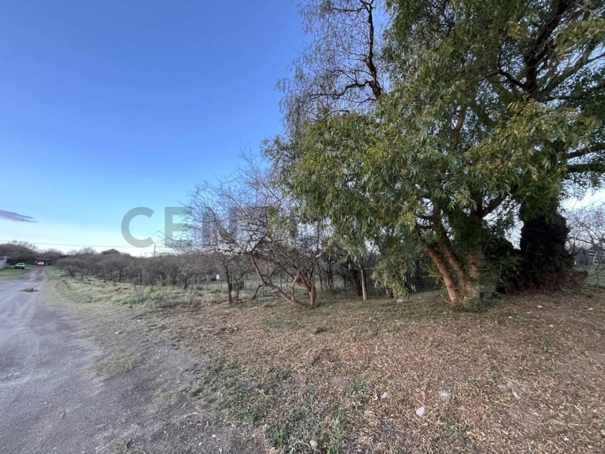 Foto de GRAN UBICACION lote 3351 m2 UNICO sobre RUTA C45 Falda Del Carmen Alta, imagen 4