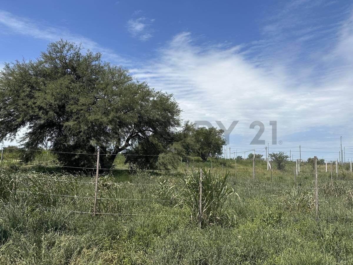 Foto de OPORTUNIDAD Lote ESQUINA de 536,99 m2 en PROHAS 1, imagen 5